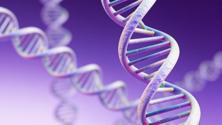 Une injection d’ADN : une avancée prometteuse contre l’obésité et le diabète